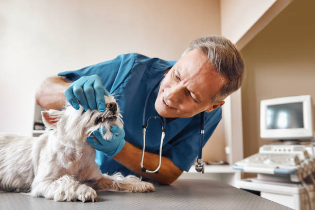 Best Emergency Root Canal Treatment in Hempstead, TX